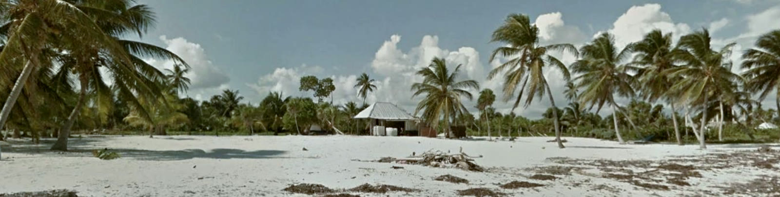 Playa de arena blanca con palmeras en Mahahual